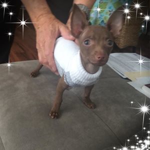 Meet your Posher, Deborah